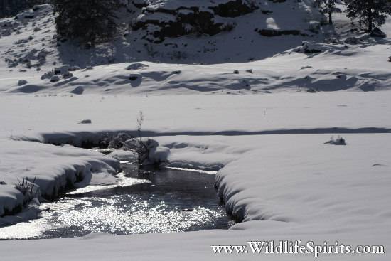 Click Picture to send as an  E-PostCard 57k 550x367